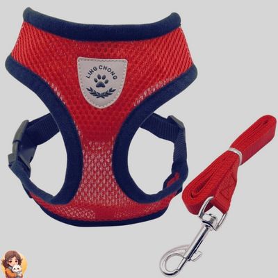 Harnais ultra confort pour chat | HARNAISMAX™