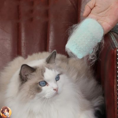 Brosse pour chat 2 en 1 | HAIRCAT™ - My Cat My Life