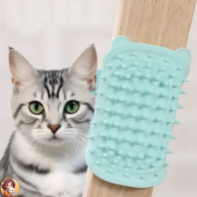 brosse pour chats bleu