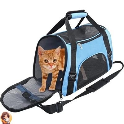 Cage de transport pour chat | CATCARRIER™ - My Cat My Life