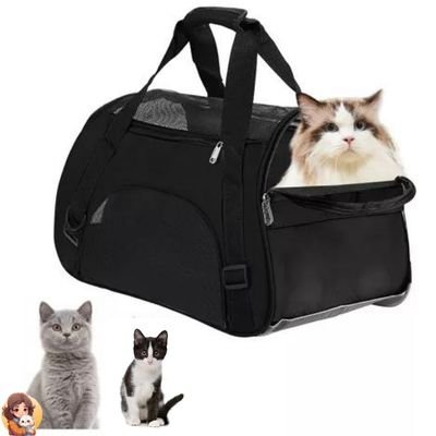 Cage de transport pour chat | CATCARRIER™ - My Cat My Life