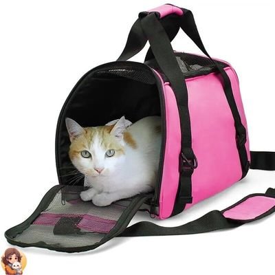 Cage de transport pour chat | CATCARRIER™ - My Cat My Life