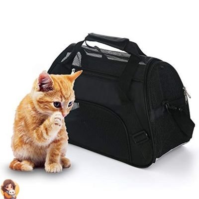 Cage de transport pour chat | CATCARRIER™ - My Cat My Life