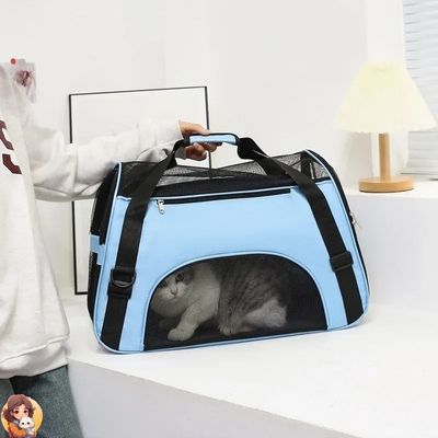 Cage de transport pour chat | CATCARRIER™ - My Cat My Life