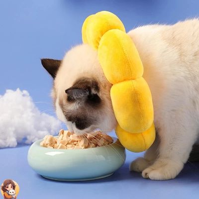 Collier anti léchage | SUNCOOL™ - My Cat My Life