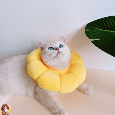 Collier anti léchage | SUNCOOL™ - My Cat My Life