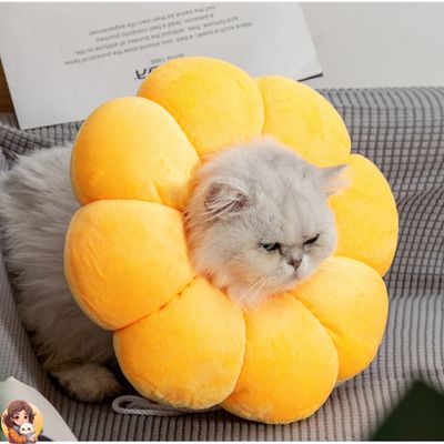 Collier anti léchage | SUNCOOL™ - My Cat My Life