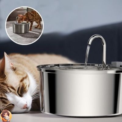 Fontaine a eau chat | CATSPRING™ - My Cat My Life