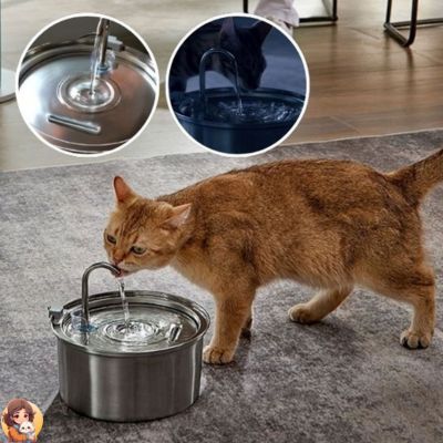 Fontaine a eau chat | CATSPRING™ - My Cat My Life