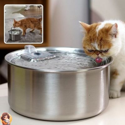 Fontaine a eau chat | CATSPRING™ - My Cat My Life