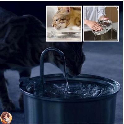Fontaine a eau chat | CATSPRING™ - My Cat My Life
