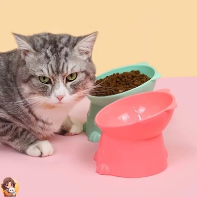 Gamelle surélevée ergonomique pour chats | MYBOWLCAT™ - My Cat My Life