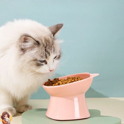 Gamelle surélevée ergonomique pour chats | MYBOWLCAT™ - My Cat My Life