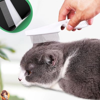 Peigne anti puce pour chat | CATCOMB™ - My Cat My Life