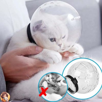 CASQUE ET BOTTES DE TOILLETTAGE POUR CHAT - My Cat My Life