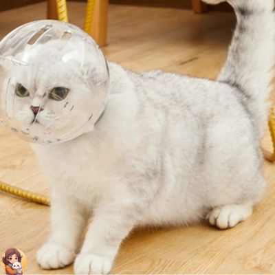 CASQUE ANTI GRIFFURES ET MORCURES