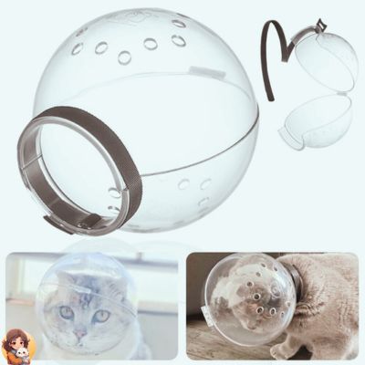 CASQUE ET BOTTES DE TOILLETTAGE POUR CHAT - My Cat My Life
