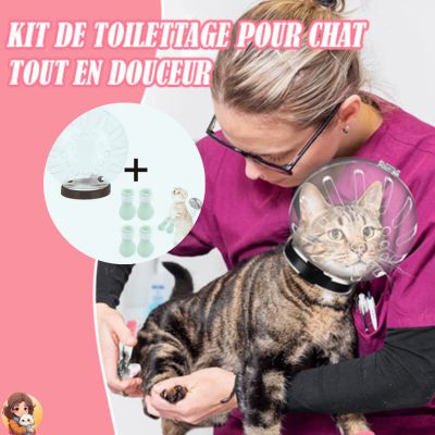 KIT TOILETTAGE POUR CHAT