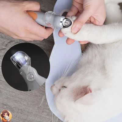 COUPE GRIFFES POUR CHAT - Nailclip™ - My Cat My Life
