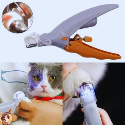 COUPE GRIFFES POUR CHAT - Nailclip™ - My Cat My Life