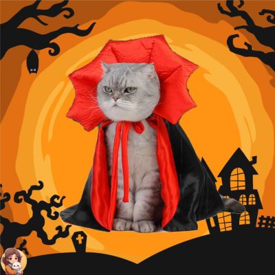 Déguisement d'Halloween Pour chat- PETGLOBAL™ - My Cat My Life