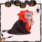 Déguisement d'Halloween Pour chat- PETGLOBAL™ - My Cat My Life