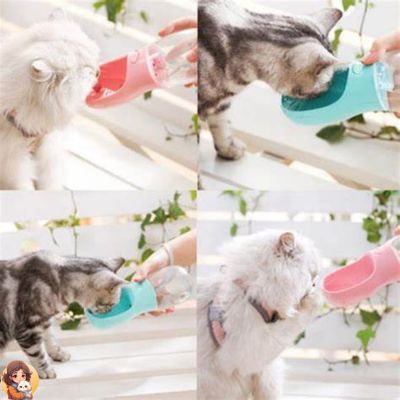 Distributeur de voyage eau et croquettes - TRAVELCAT™ - My Cat My Life