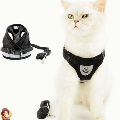 HarnaisMax™- Harnais ultra confort pour chat - My Cat My Life