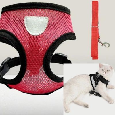 HarnaisMax™- Harnais ultra confort pour chat - My Cat My Life