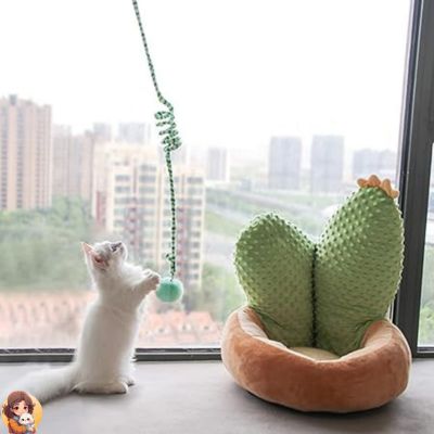 Jouet suspendu pour chats - My Cat My Life