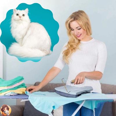 OustBrosse™ - Rouleau brosse double face - My Cat My Life