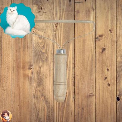 OustBrosse™ - Rouleau brosse double face - My Cat My Life