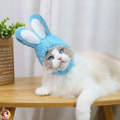 RabbitHat™ - Accessoire de déguisement pour chat - My Cat My Life