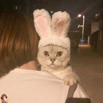 RabbitHat™ - Accessoire de déguisement pour chat - My Cat My Life