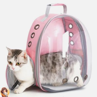 Sac de transport pour chat capsule - My Cat My Life