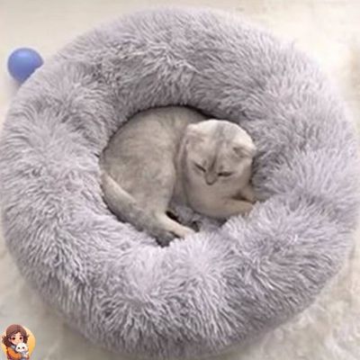 Softdream™ - Coussin pour chat apaisant - My Cat My Life