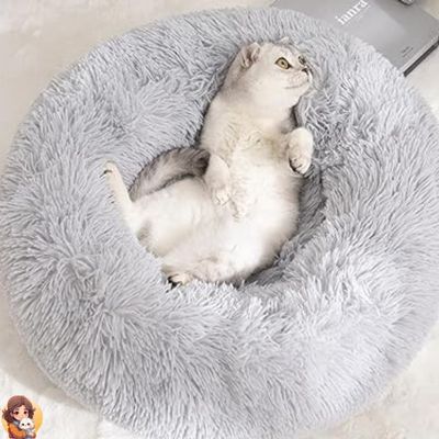 Softdream™ - Coussin pour chat apaisant - My Cat My Life