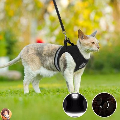 HarnaisMax™- Harnais ultra confort pour chat - My Cat My Life