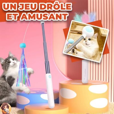 Jouet perche extensible - CANETOY™ - My Cat My Life