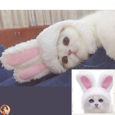 RabbitHat™ - Accessoire de déguisement pour chat - My Cat My Life