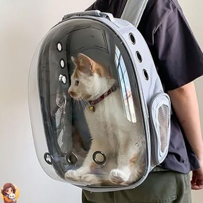Sac de transport pour chat capsule BACKPACK™ - My Cat My Life